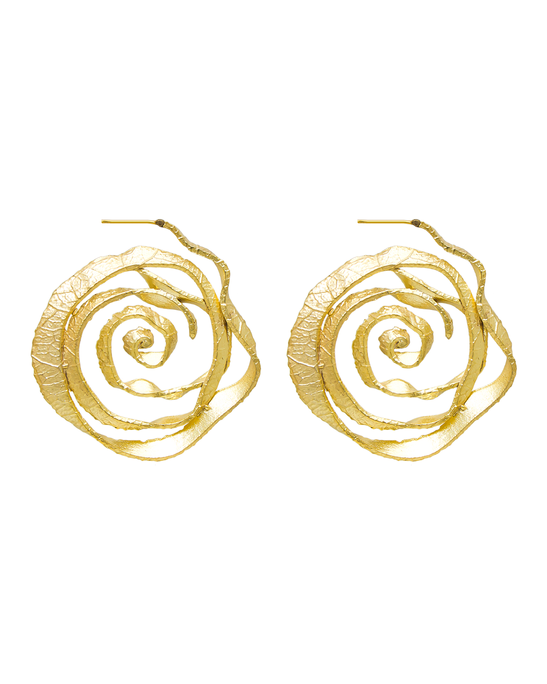 ROSETTE HOOPS